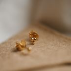 Earring Fairy Rose (18k gold)