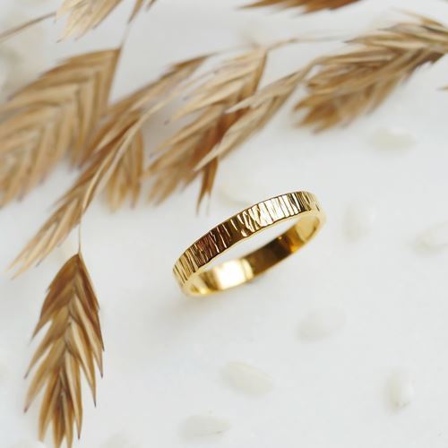 Ring Animus