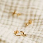 Mini creole Fairy Morgane