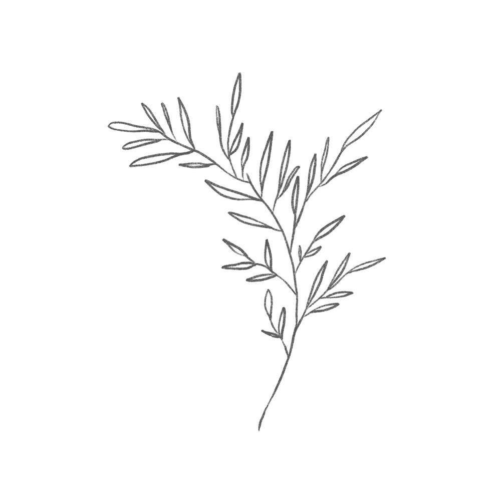 Illustration "Nature" II