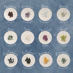 Bracelet "Shining star" (silver 925)