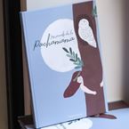 Book "Les secrets de la Pachamama"