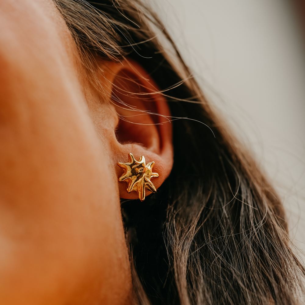 Oorbellen Solstice (verguld)