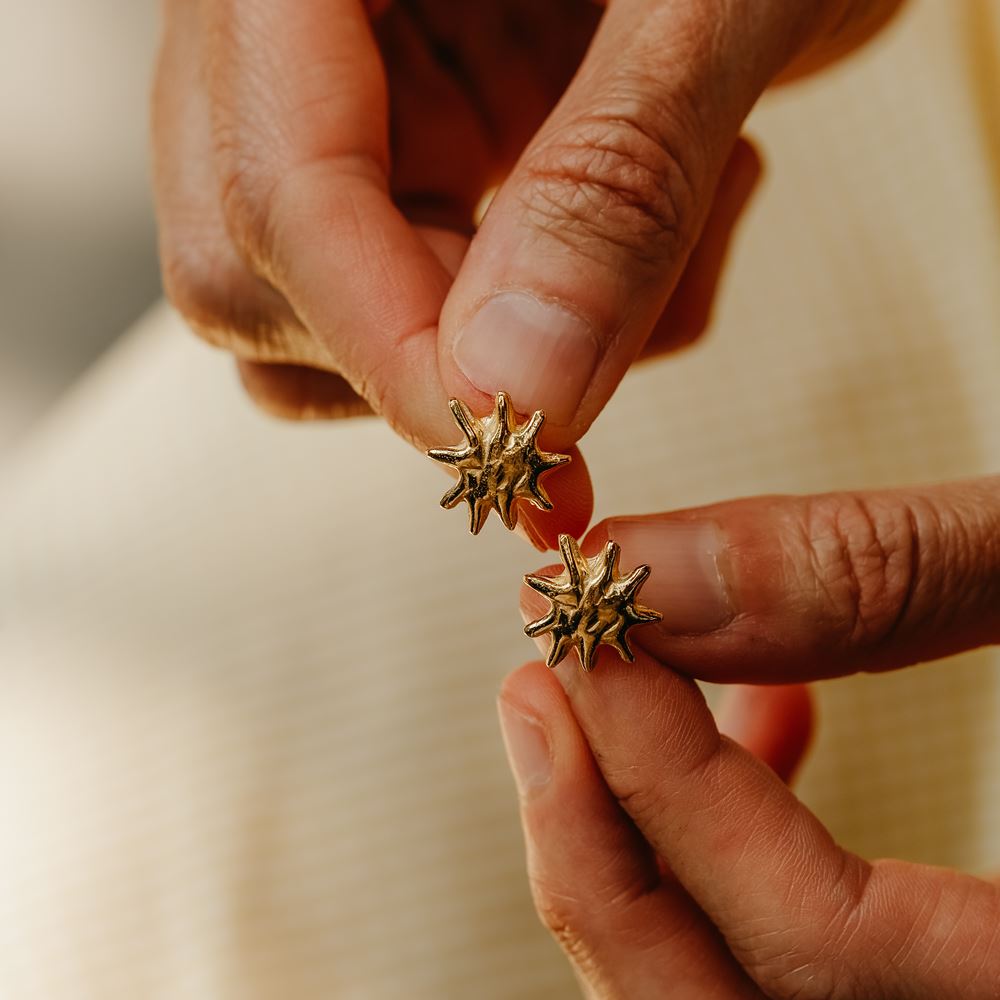 Oorbellen Solstice (verguld)