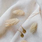 Creolen "Grootmoeder Wilg" (verguld)