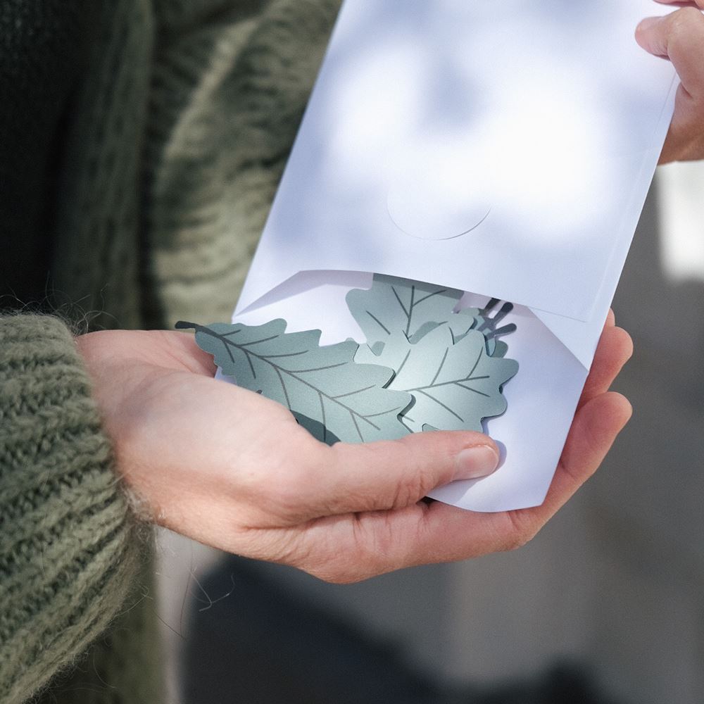 Boek "Les secrets de la Pachamama"